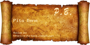 Pits Bene névjegykártya